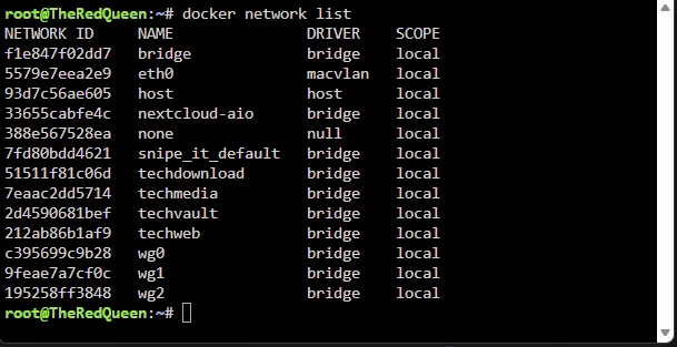 Docker Network List Example